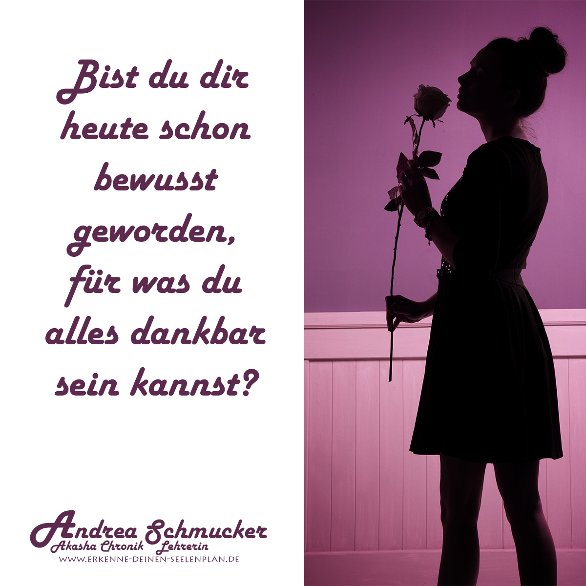 Bist du dir schon bewusst geworden, für was du alles dankbar sein kannst?