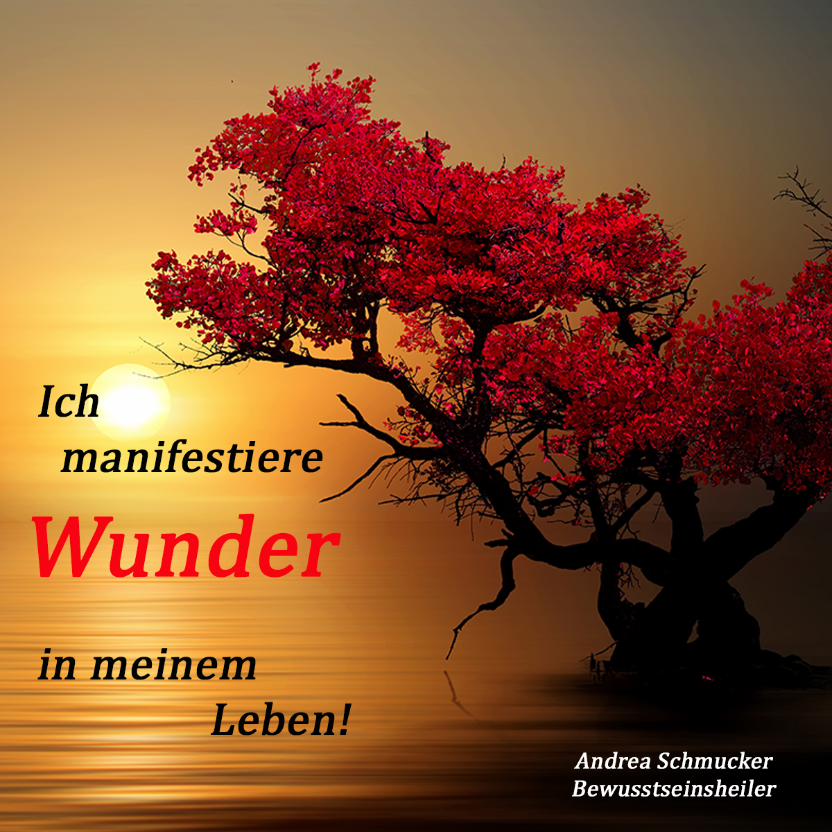 Spirituelles Bild mit einem roten Lebensbaum bei Sonnenuntergang über Wasser – mit dem Zitat „Ich manifestiere Wunder in meinem Leben!“ von Andrea Schmucker, Bewusstseinsheilerin. Thema: Manifestation und spirituelles Erwachen.
