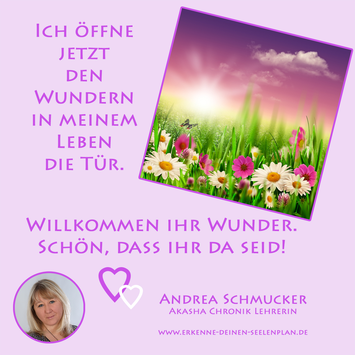 Zartes, spirituelles Bild mit Blumenwiese im Sonnenlicht, Zitat „Ich öffne jetzt den Wundern in meinem Leben die Tür“ von Andrea Schmucker, Akasha Chronik Lehrerin und Bewusstseinsheilerin – ein Ausdruck der Herzöffnung und Einladung an die Wunder im Leben.
