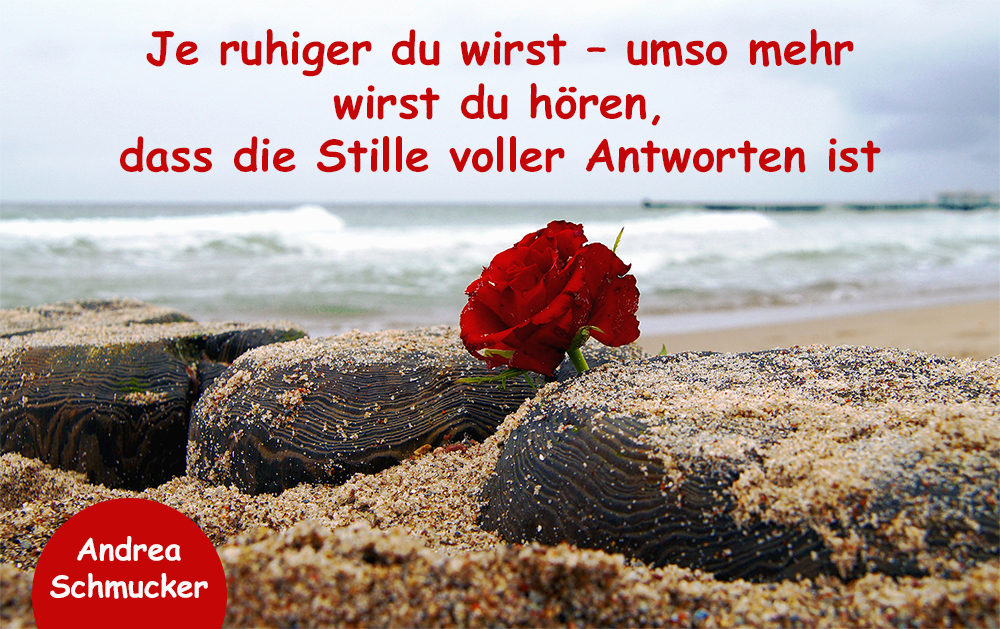 Eine einzelne rote Rose liegt zwischen vom Sand bedeckten Steinen am Strand, mit sanften Wellen im Hintergrund. Der Text auf dem Bild lautet: „Je ruhiger du wirst – umso mehr wirst du hören, dass die Stille voller Antworten ist“. Dieses spirituelle Zitat stammt von Andrea Schmucker und betont die transformierende Kraft der inneren Stille auf dem Weg der Seelenführung und Bewusstseinsentwicklung.