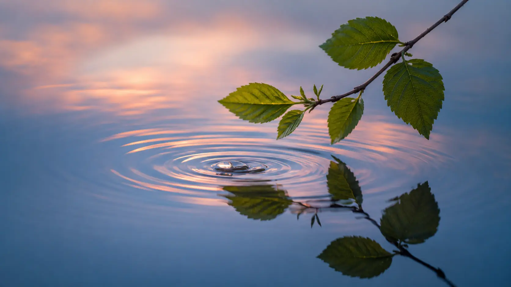 Ein einzelner Zweig spiegelt sich in einer stillen Wasserfläche, in die gerade ein Tropfen fällt – ein Bild für das Spiegelgesetz in der Bewusstseinsarbeit von Andrea Schmucker